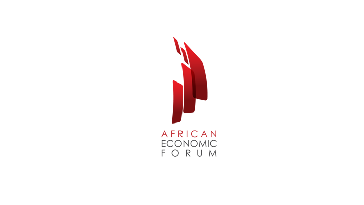 Screenshot 1 of the African Economic Forum Branding Project