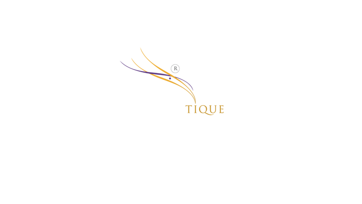 Screenshot 1 of the Blinktique Branding Project