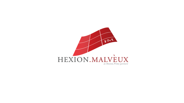 Screenshot of the Hexion Malveux Branding Project