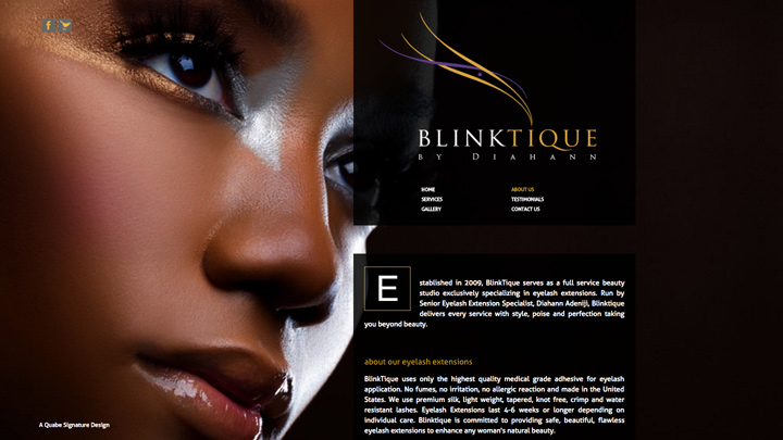 Screenshot 3 of the Blinktique Project