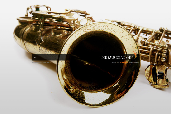 Screenshot 8 of the MusicianShip Project